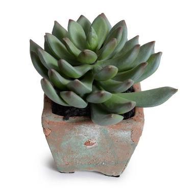 Sets - RAV 6 PC SET<br>Wooden Tray, Succulents,  Books & Candle