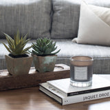RAV 6 PC SET<br>Wooden Tray, Succulents, Books & Candle