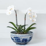 EASTON 2 PC SET <br>Blue & White Painted Ceramic Bowl, Orchid