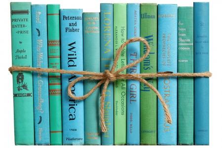 light blue decorative books bundle