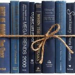 blue decorative books bundle