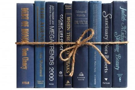 blue decorative books bundle