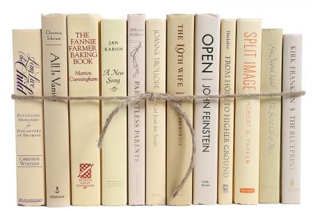 ivory decorative books bundle