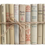 taupe decorative books bundle