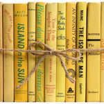 yellow decorative books bundle