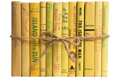 yellow decorative books bundle
