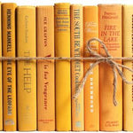 orange decorative books bundle