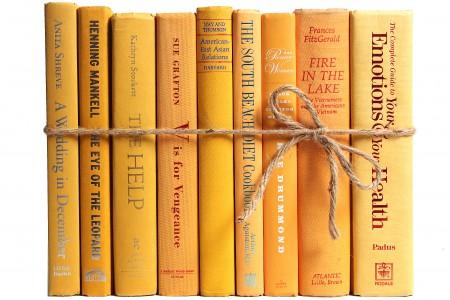 orange decorative books bundle